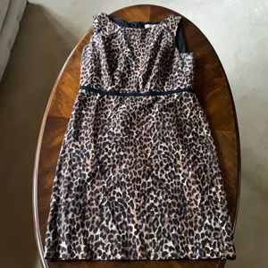 Loft Leopard Shift Dress Sz 8.